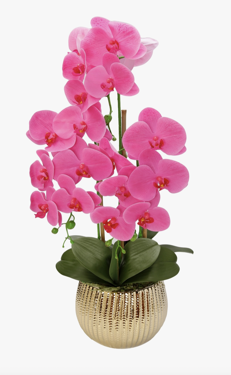 Vivience Pink Orchid in Round Gold Striped Vase