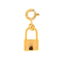 Lock Charm