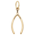 Lucky Wishbone Charm in Shiny Gold