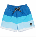 Feather 4 Arrow Wave Stripe Volley Trunk in Seaside Blue