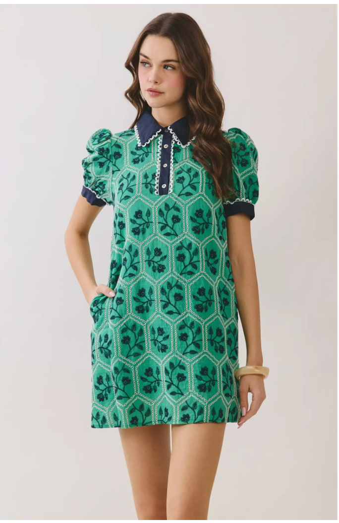 TCEC Geometric Print Floral Puff Sleeve Mini Dress