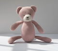 Pink Lemonade Teddy in Pink