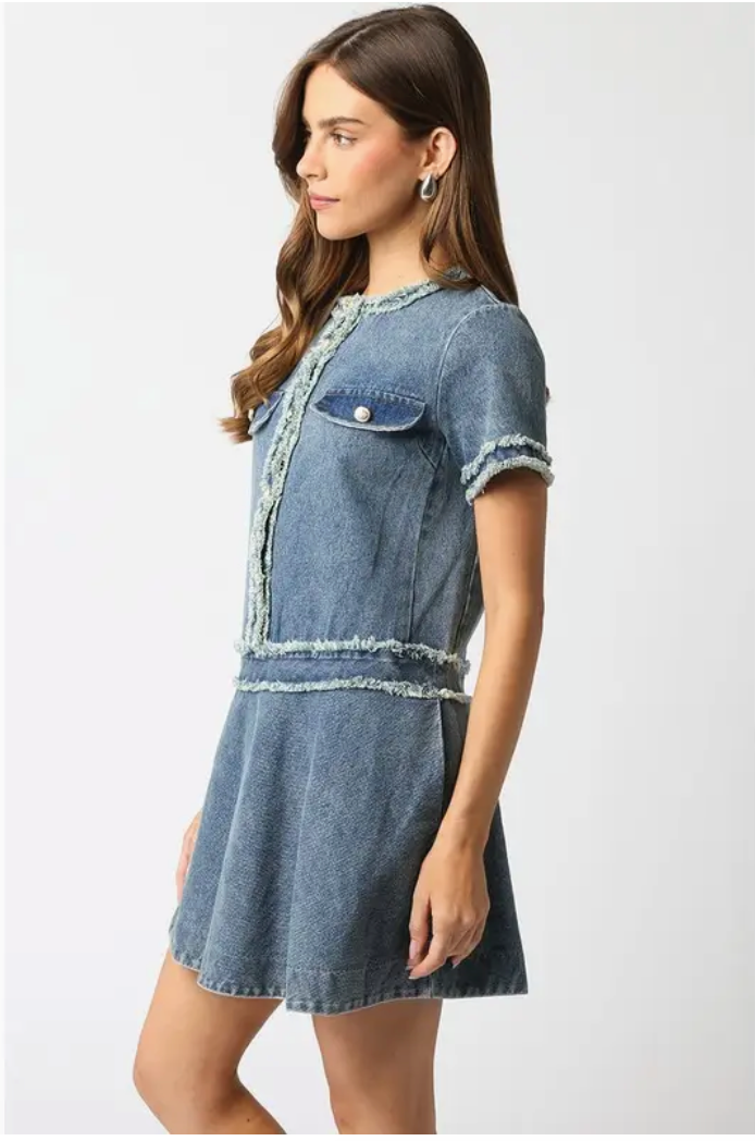 Olivaceous Elisha Denim Dress