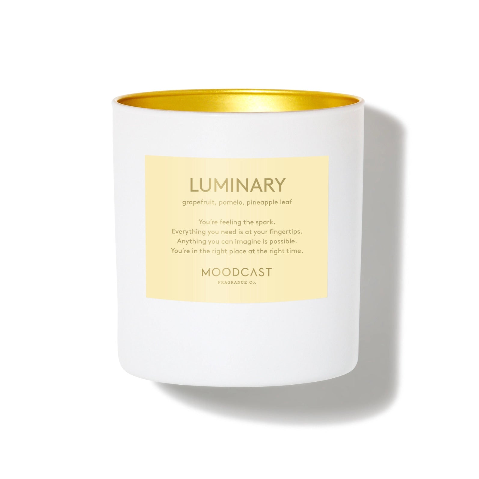 Moodcast Fragrance Coconut Wax Candle Luminary