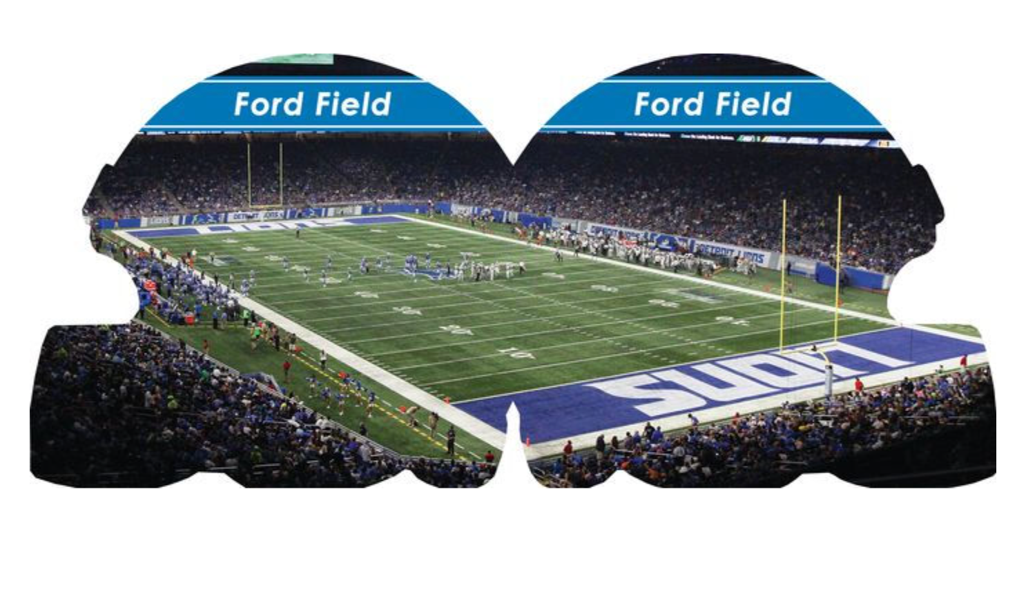Detroit Lions 101 Book